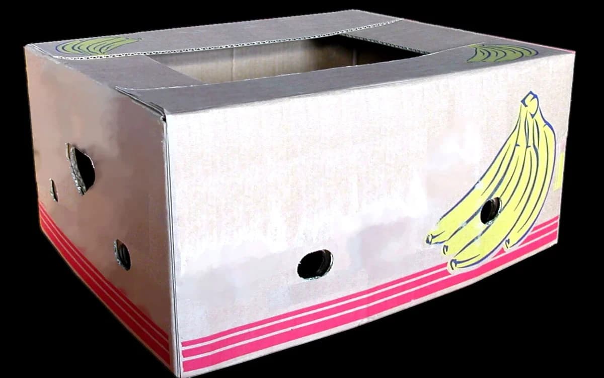Green and ripening bananas and avocados packed in ventilated cold-chain storage crates