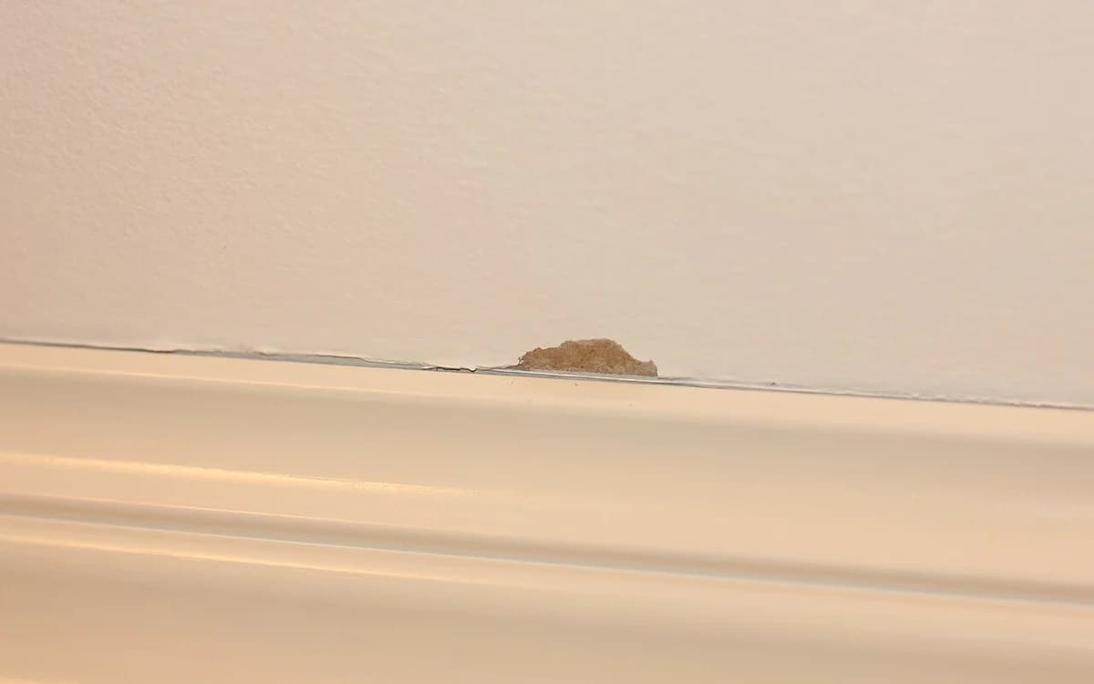 Painter masking tape and electrostatic PE plastic drop cloth protecting room trim