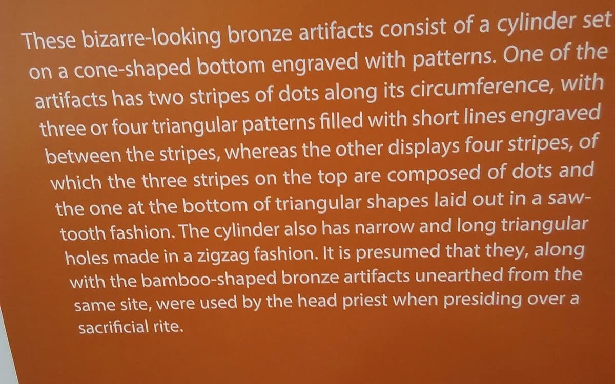 Ancient bronze and silver coins displayed in a conservation tray
